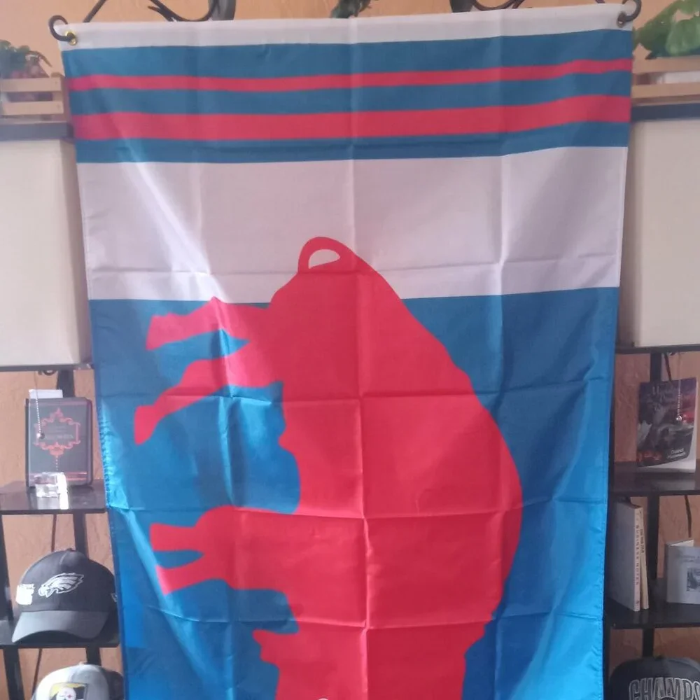 NEW Buffalo Bills Retro Bison Logo NFL 3X5 Feet Flag Banner Wall Decor or Pole